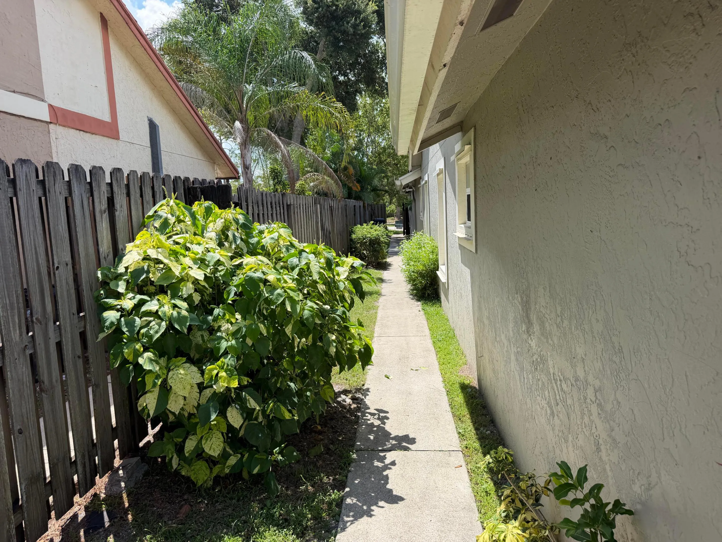 Sidewalk to front of house