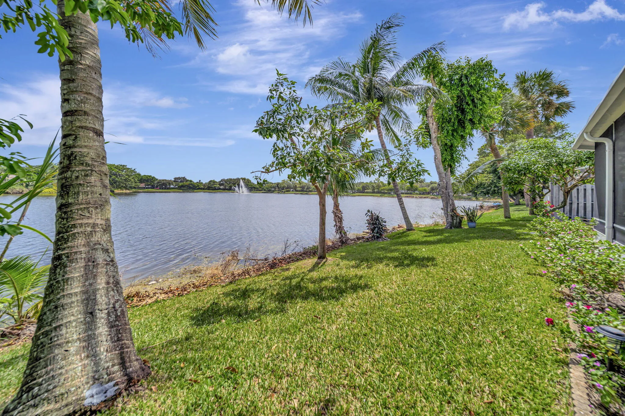 97-web-or-mls-DSC06815