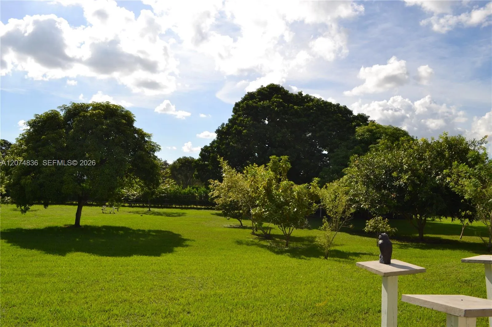 Property photo 48