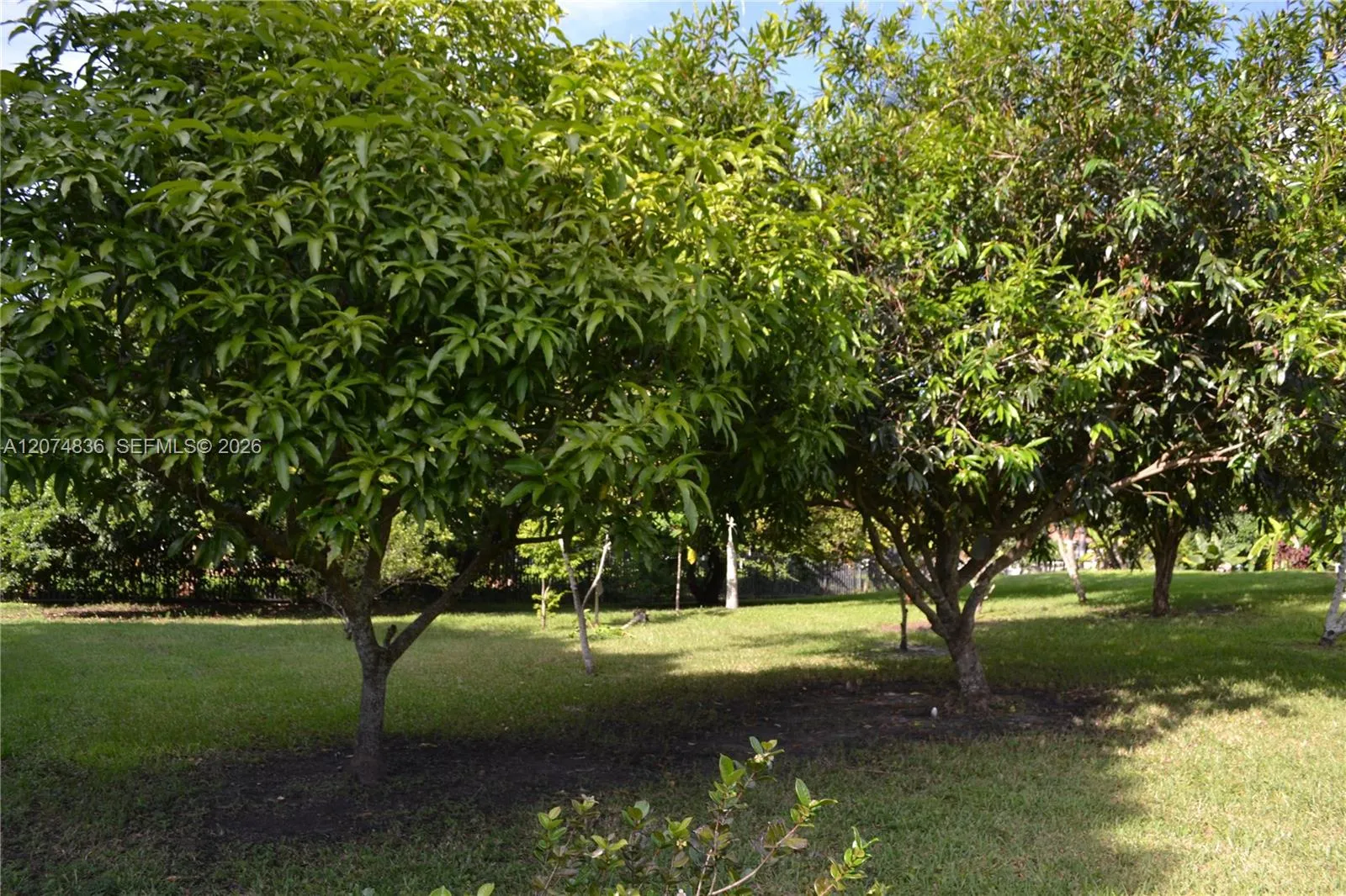 Property photo 52