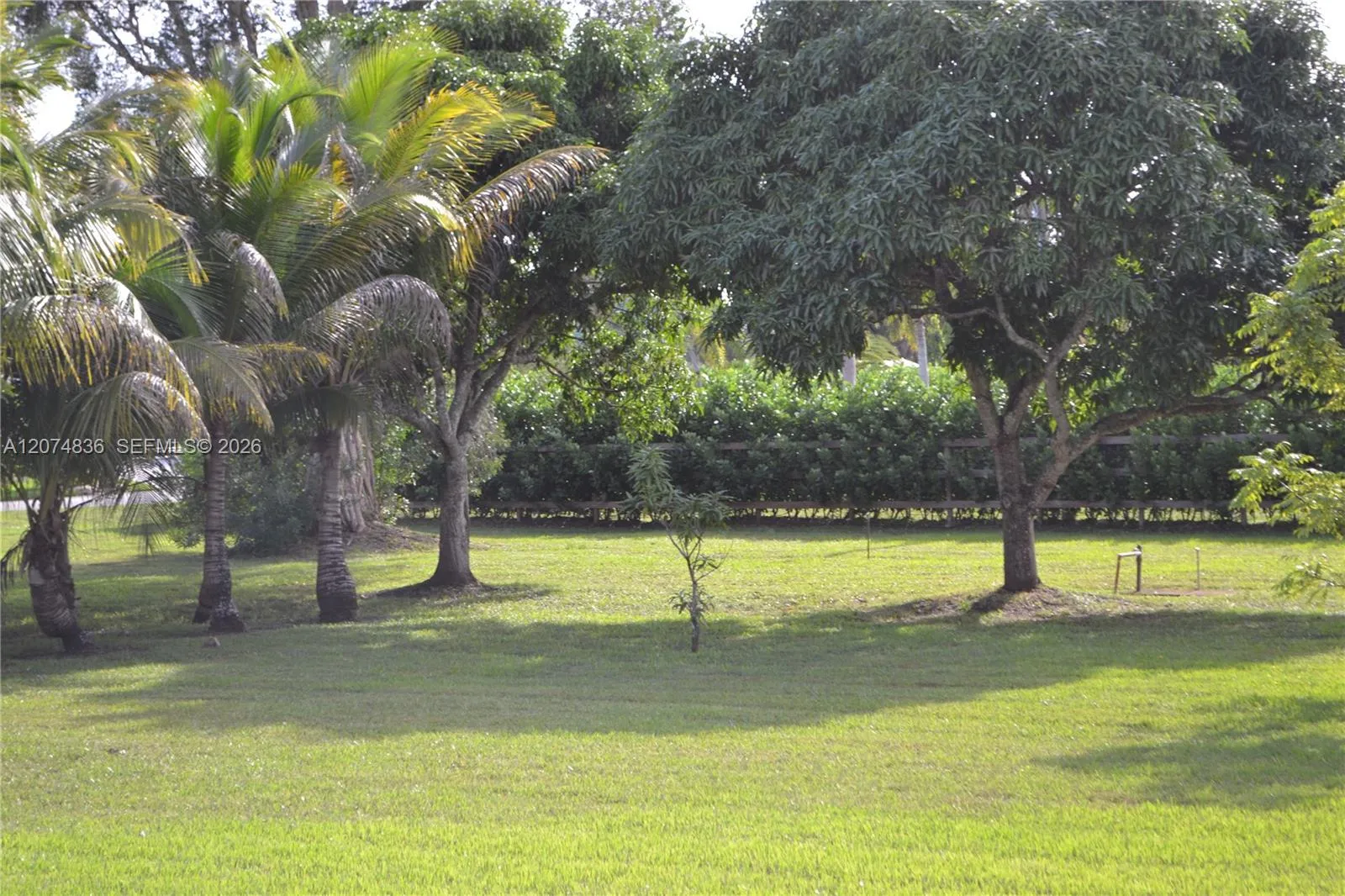 Property photo 41