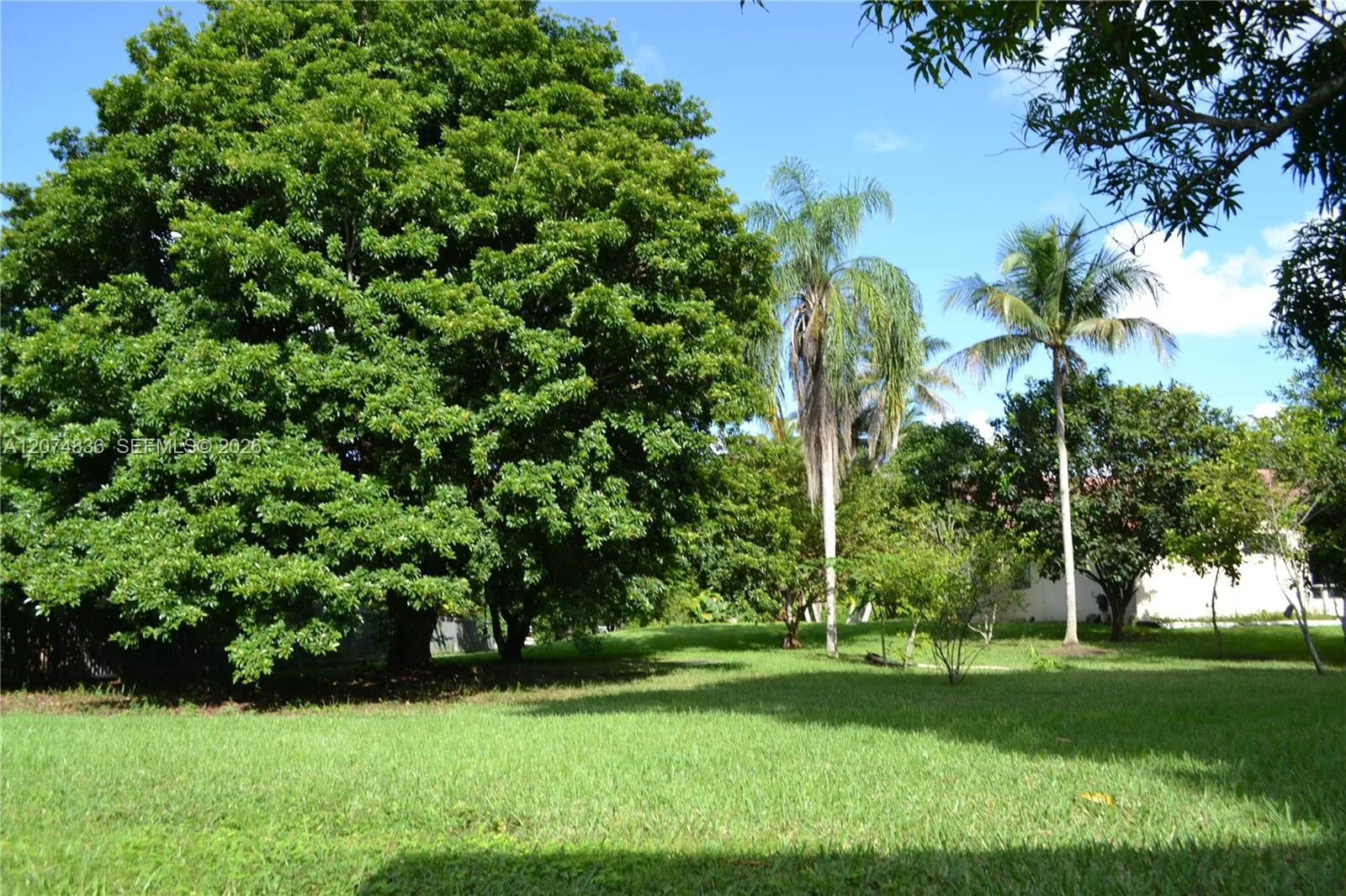 Property photo 42