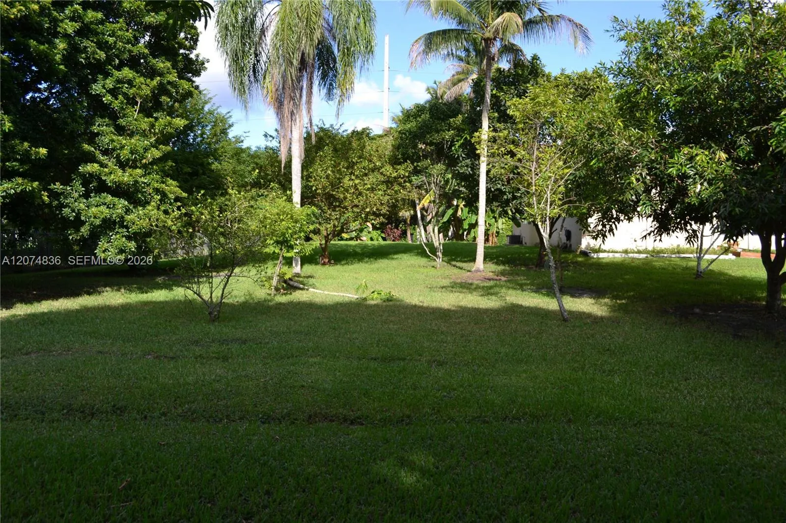 Property photo 46