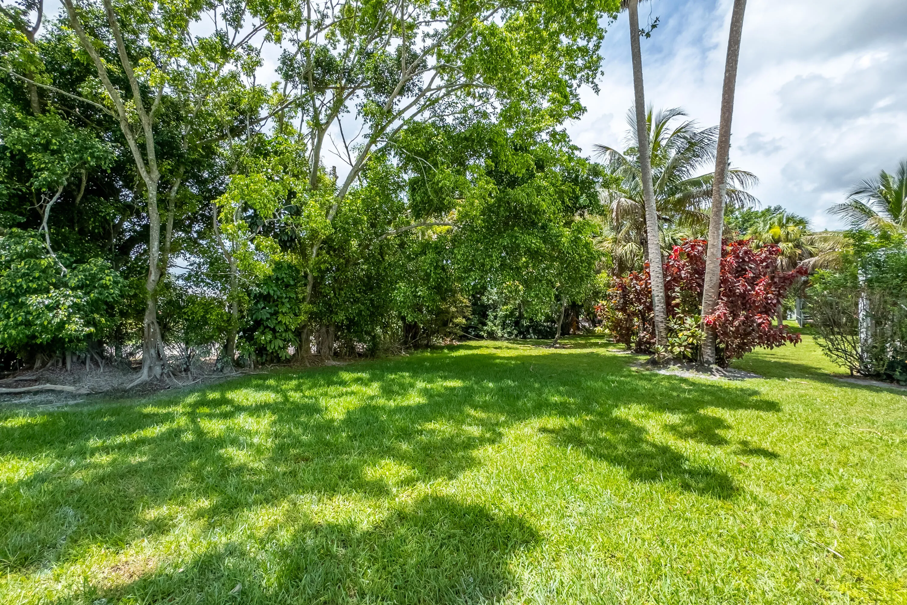 Back patio