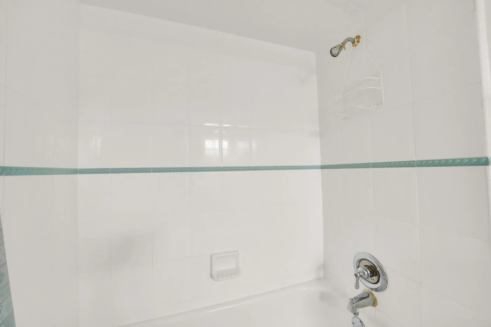 Primary bath shower and tub