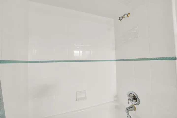 Primary bath shower and tub