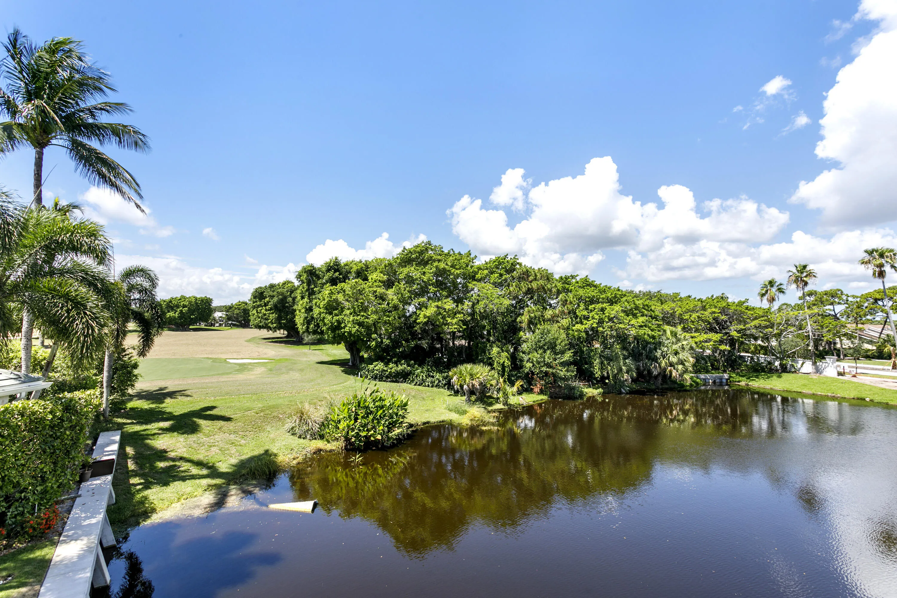 Property photo 46