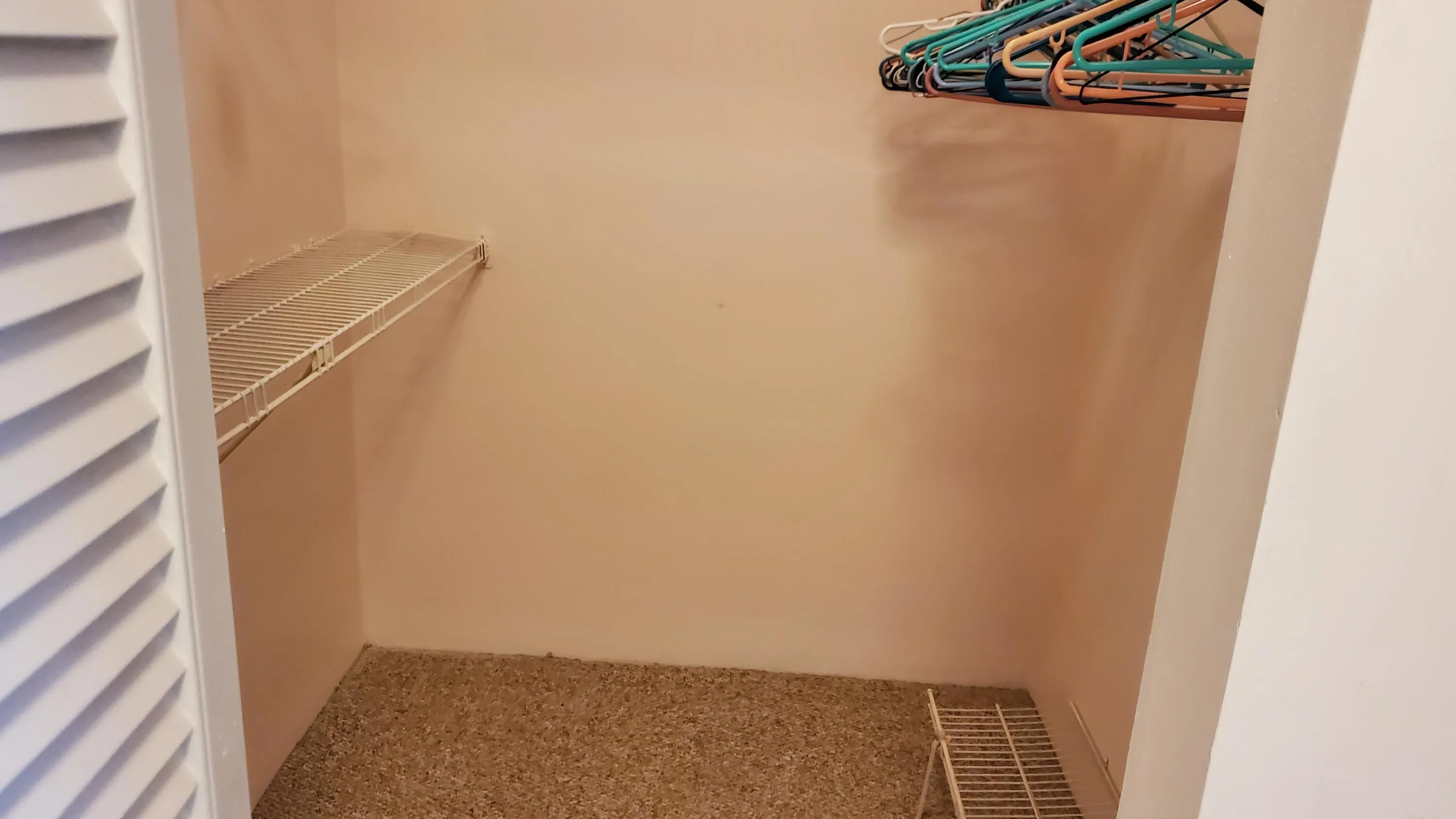 One of two Master Walk-in Closets Plus Linen Closet