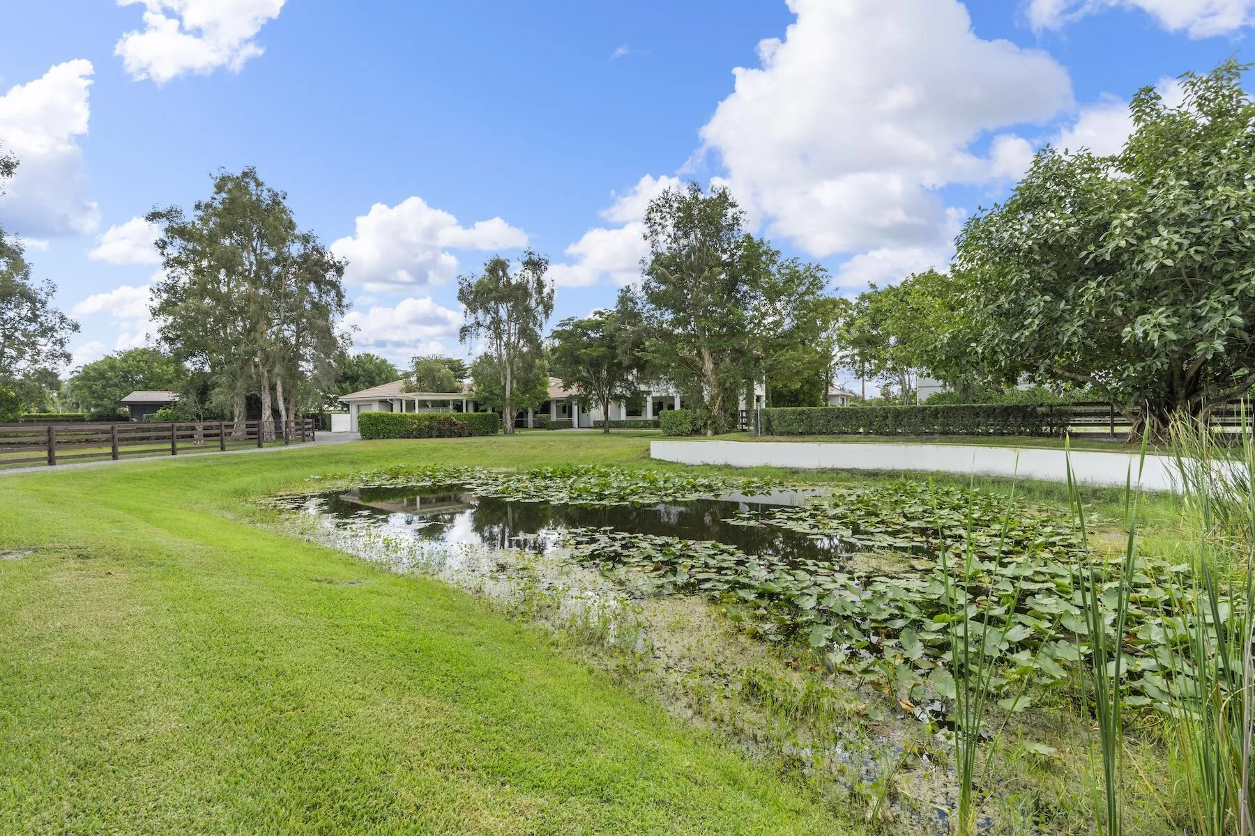 Property photo 43
