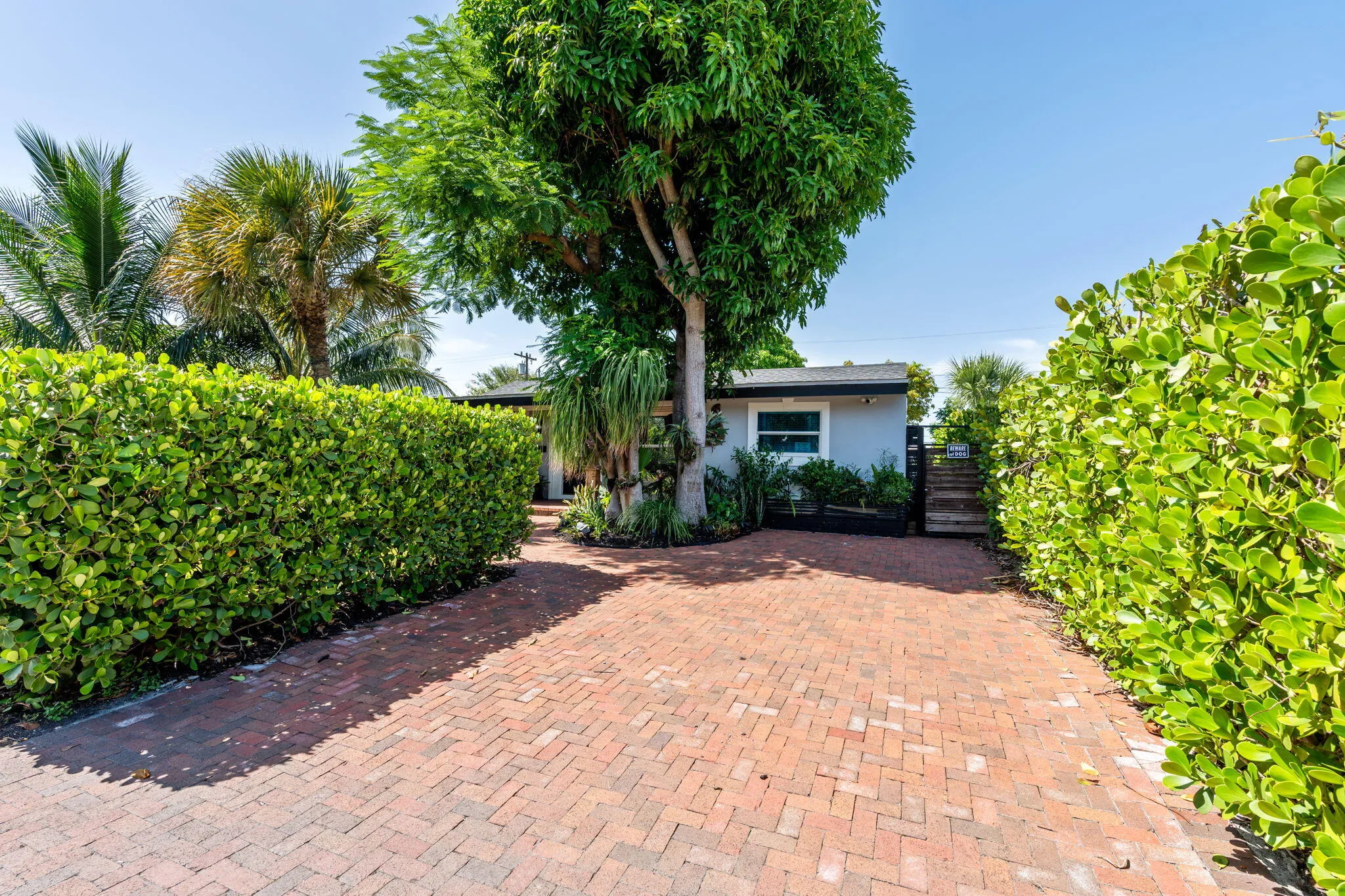Driveway