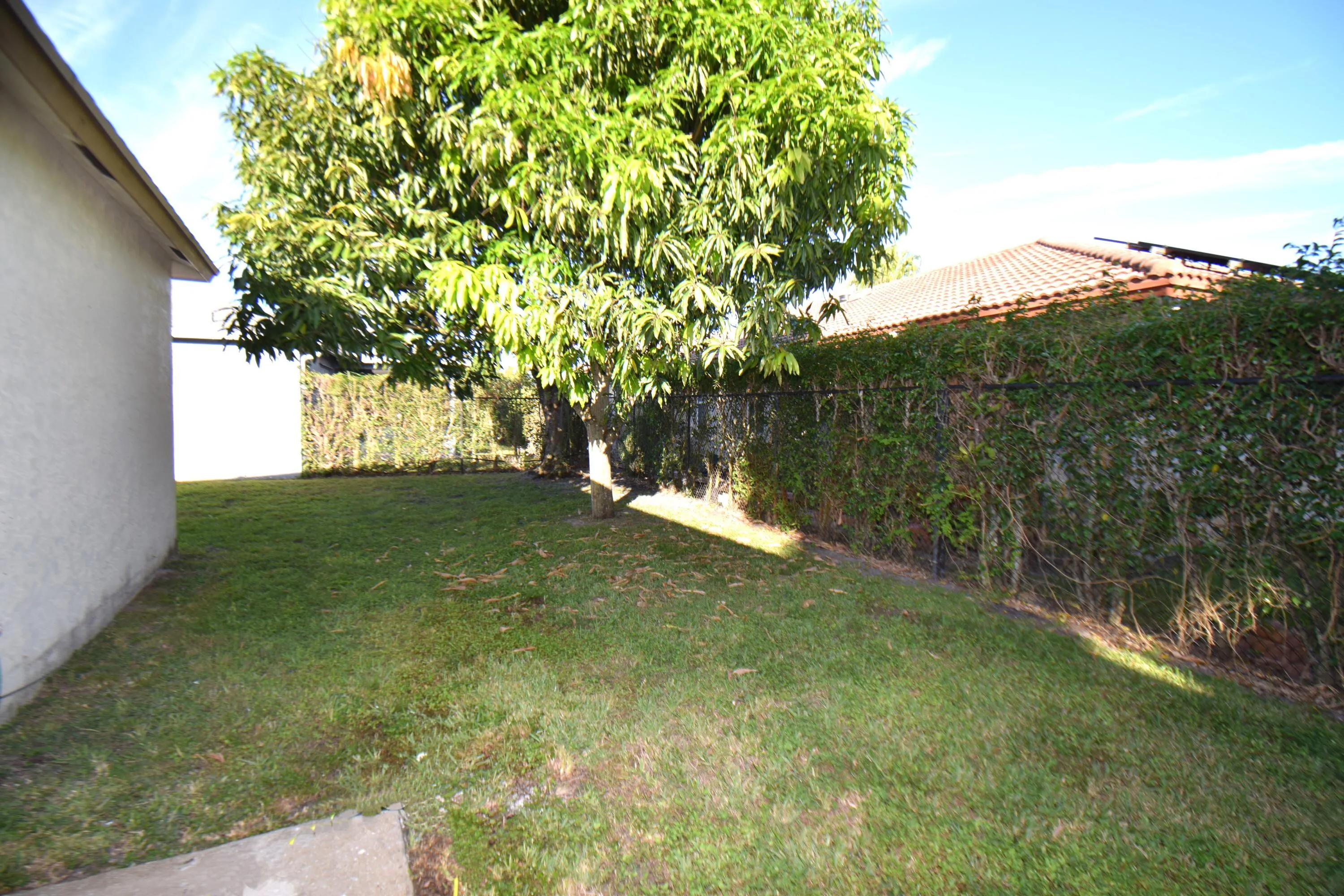 Back yard