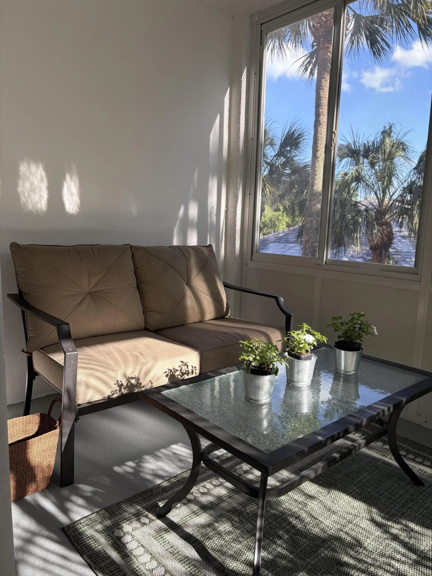 Terrace Shaded by Tree