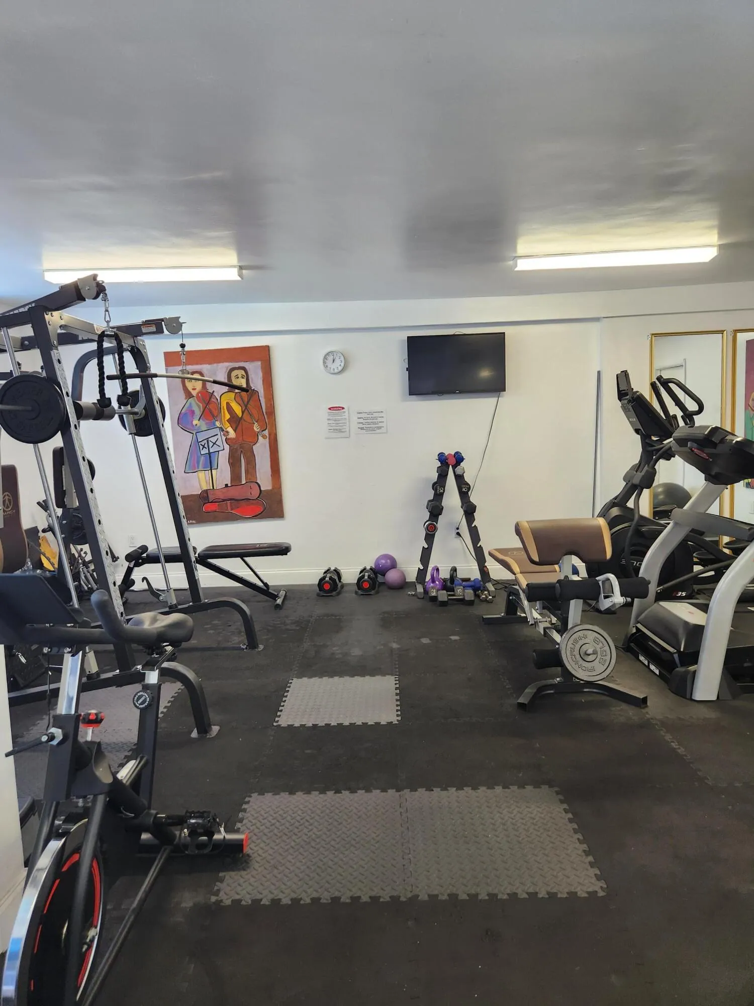 Gynasium