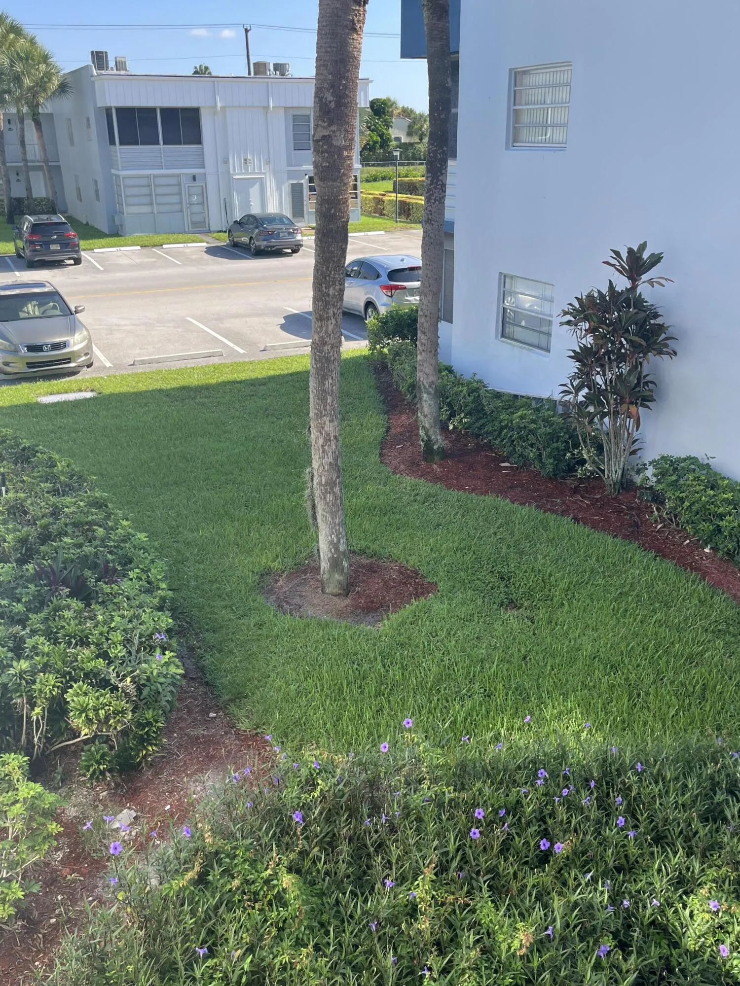 view from your front living room window and front door