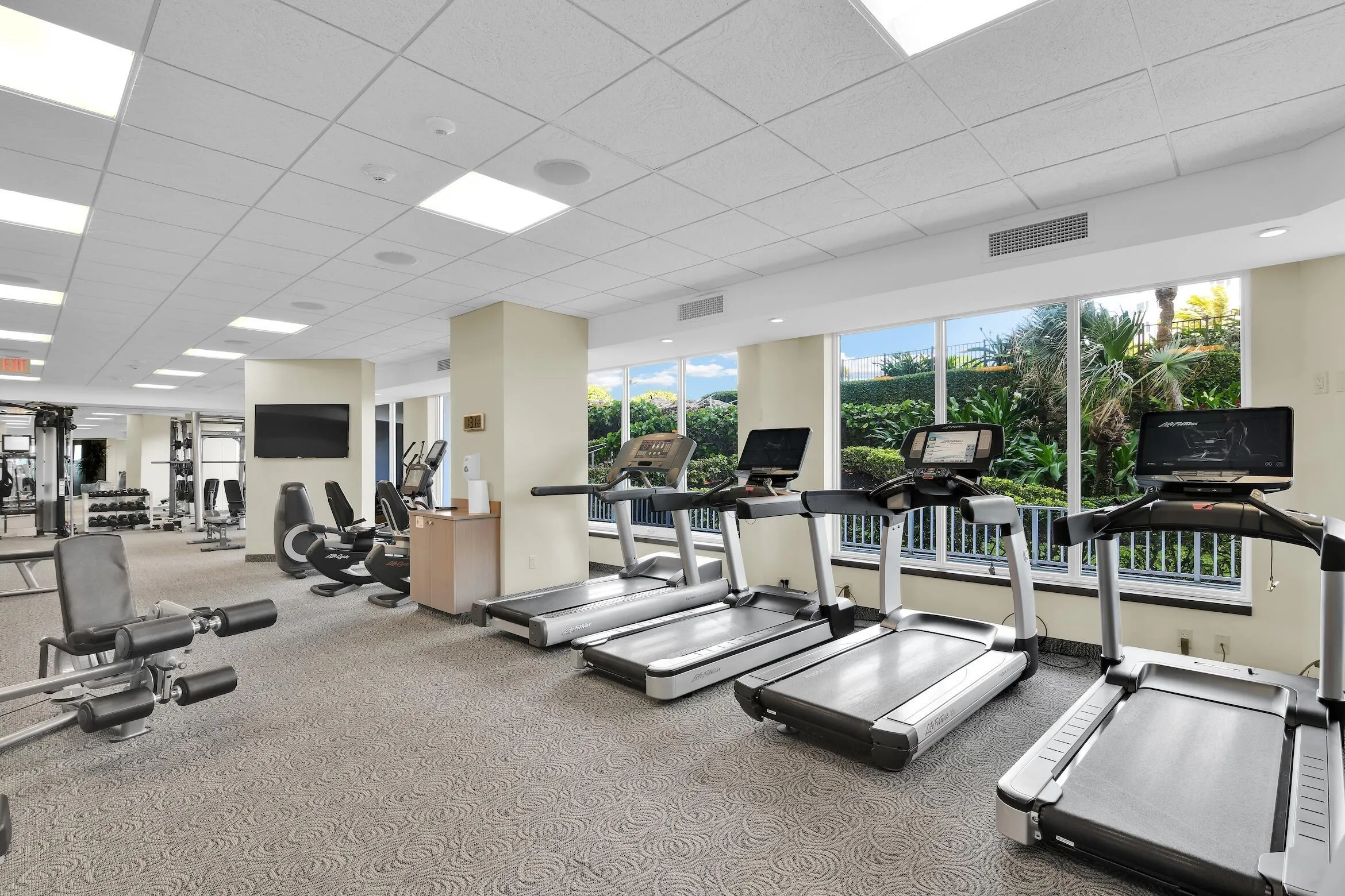 gym