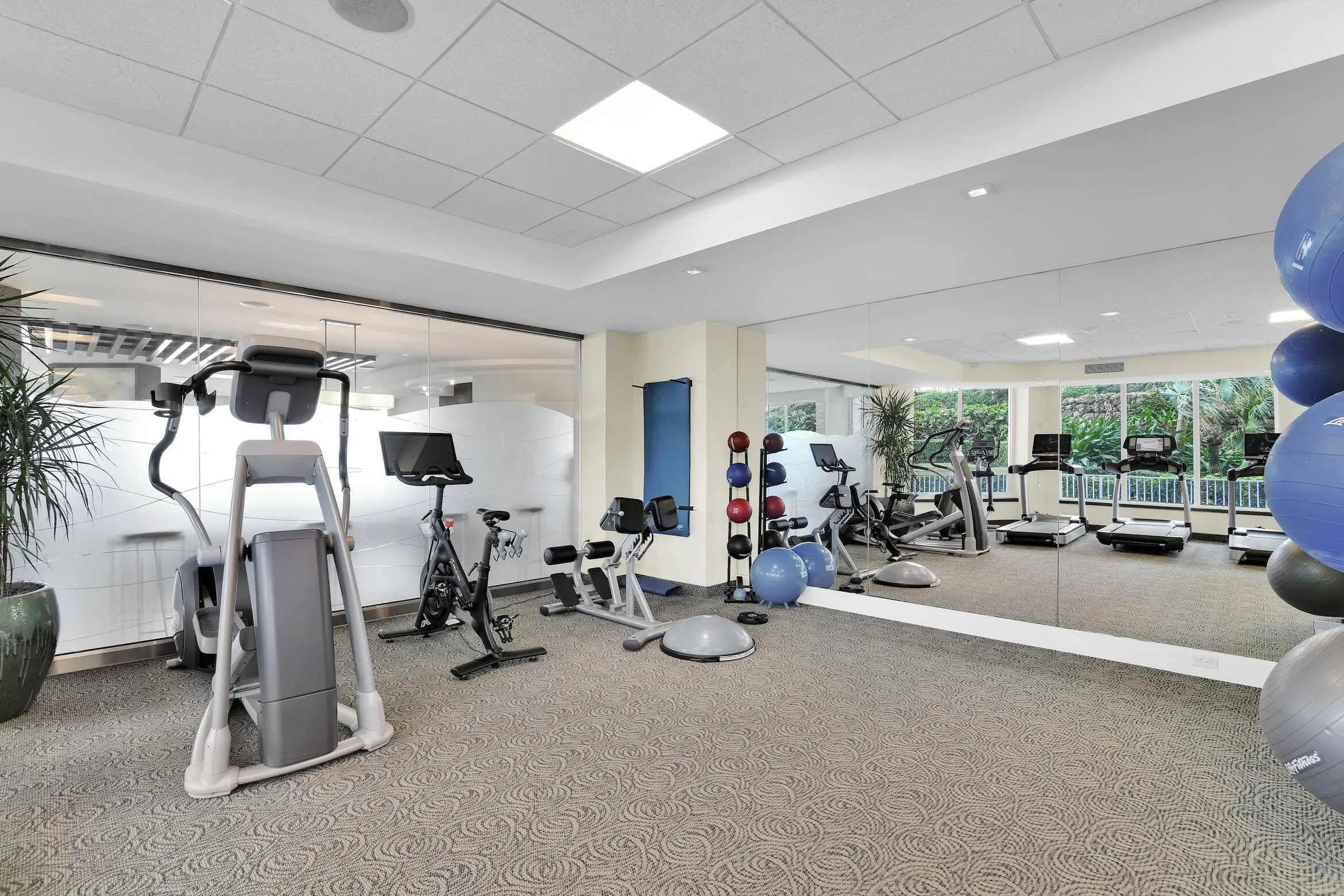 gym