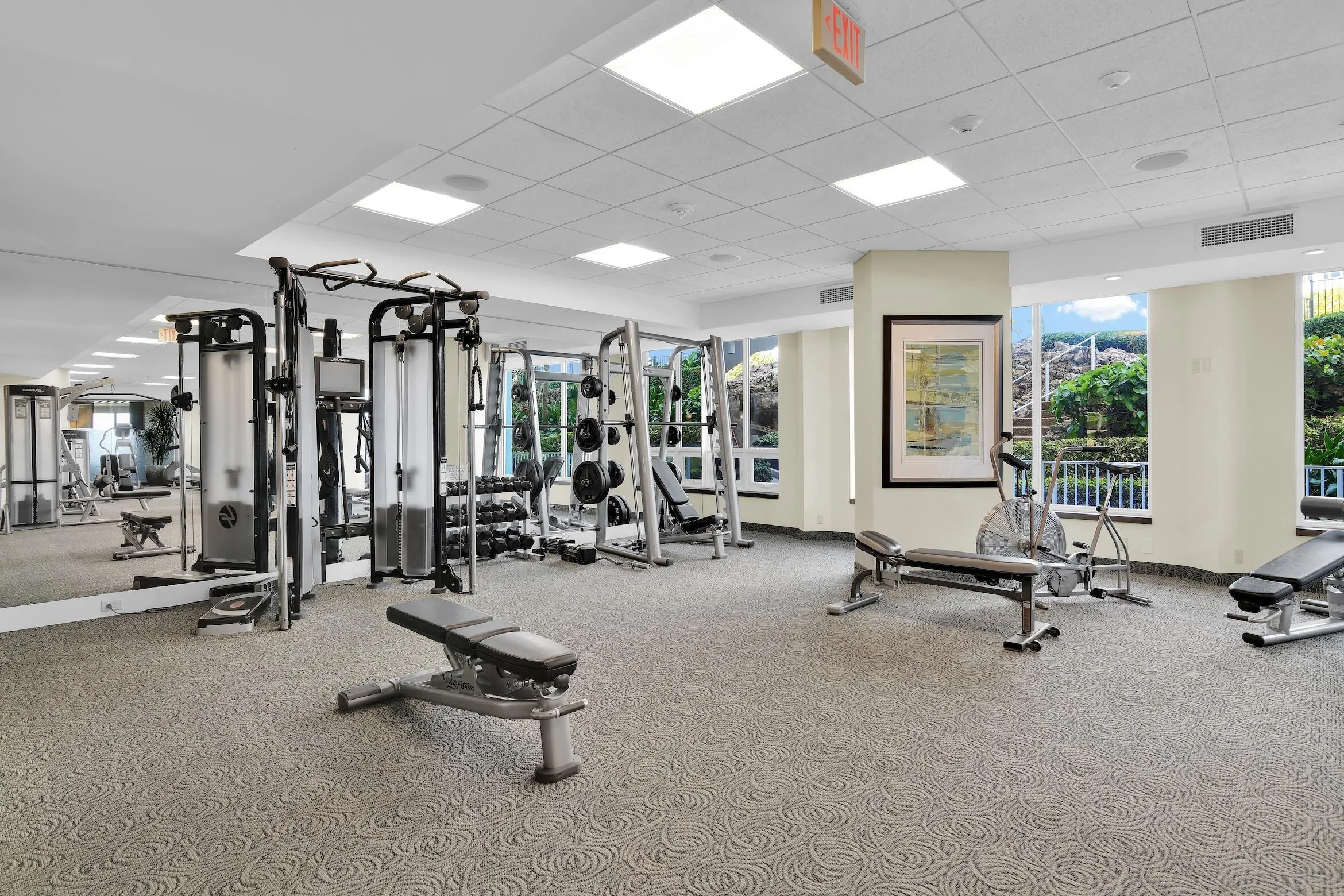 gym