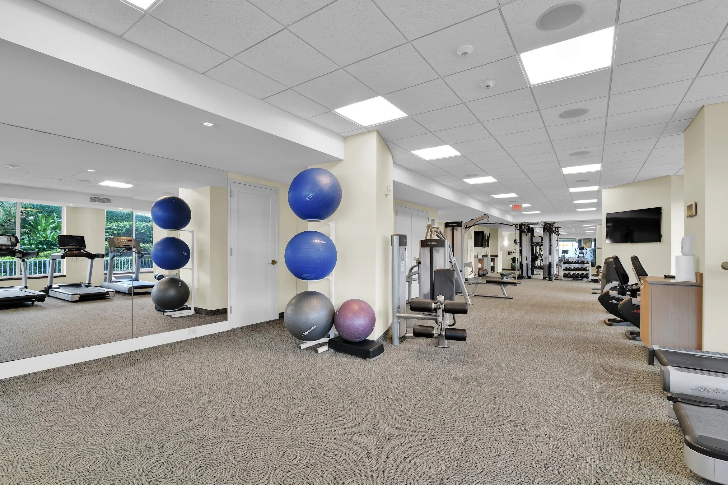 gym