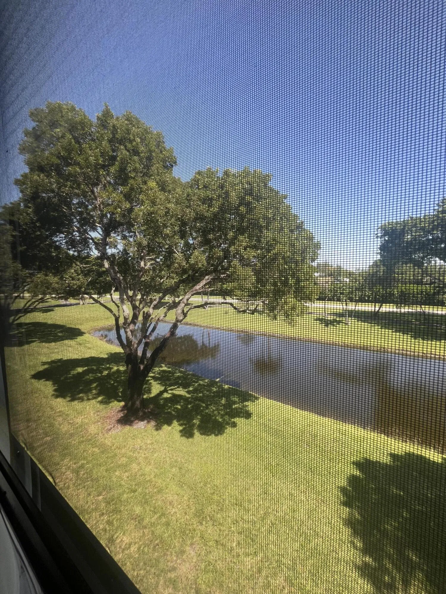 view