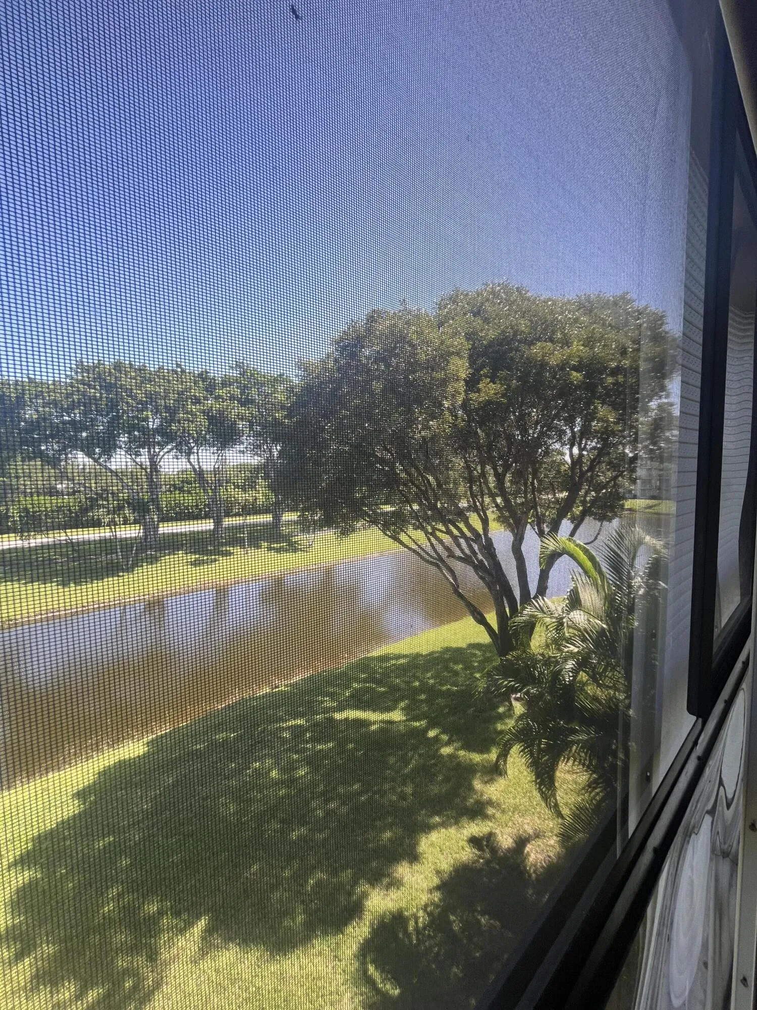 view