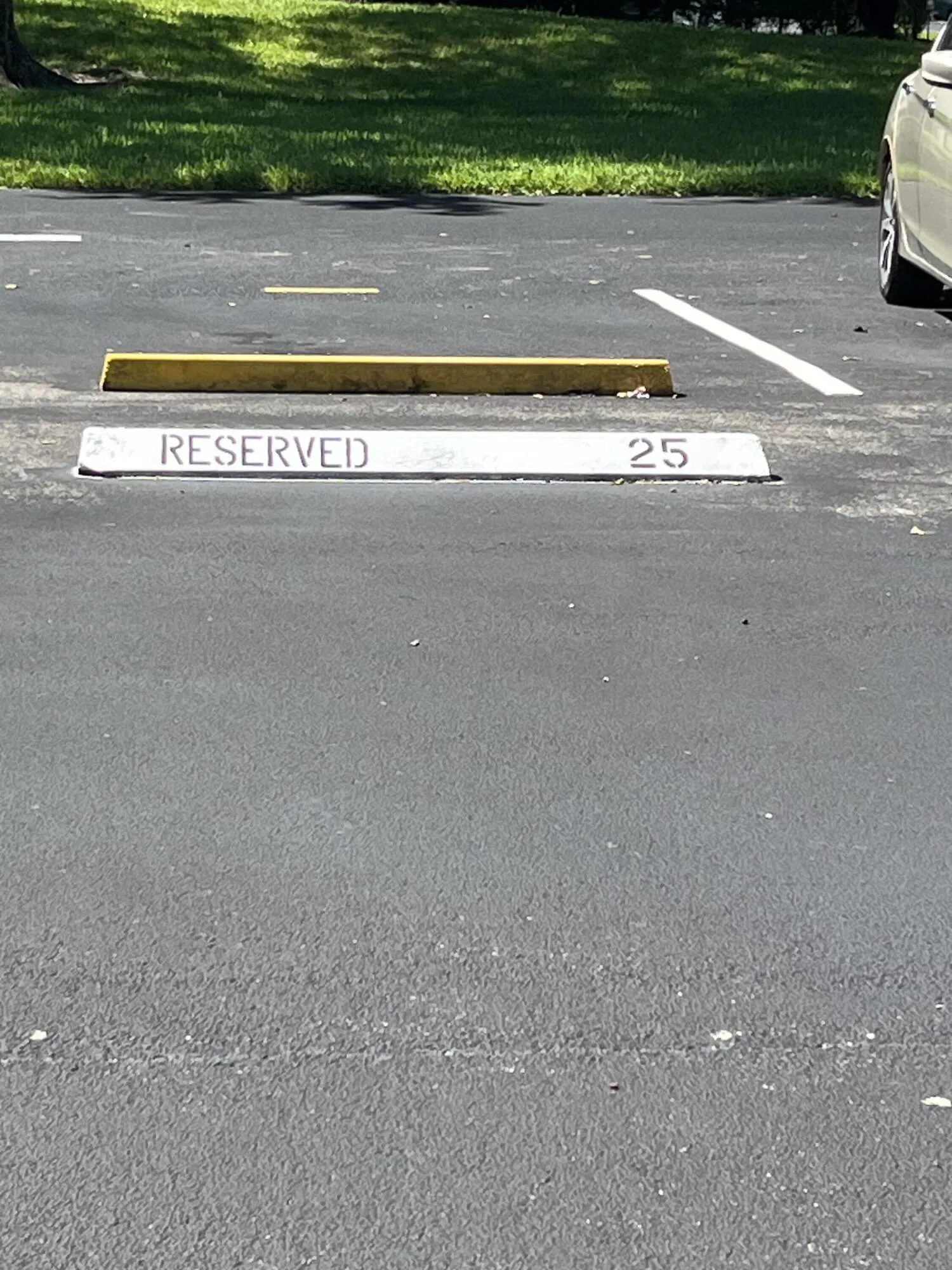 space #25 right in front of the bldg.l