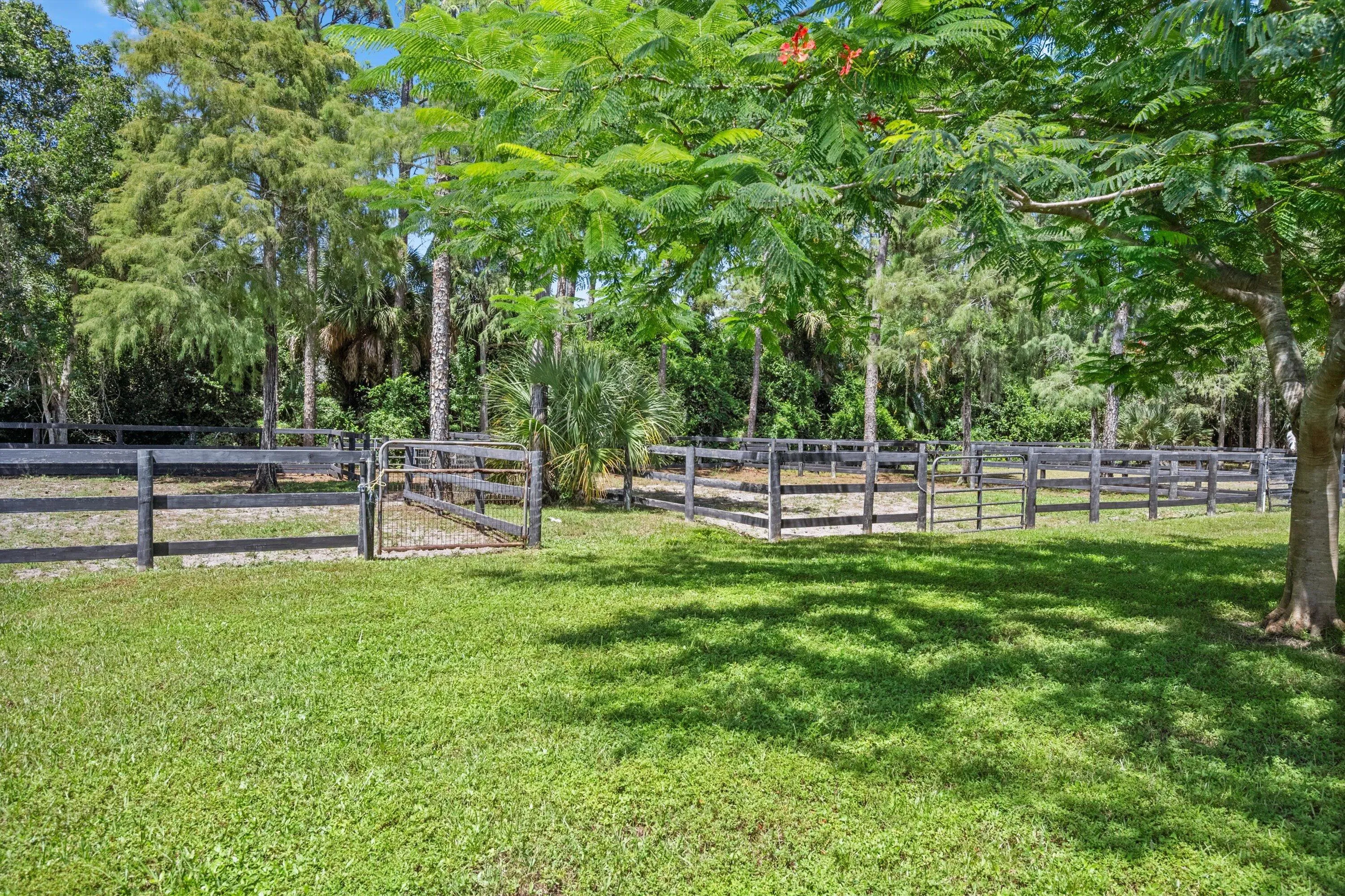 54-DSC_3807