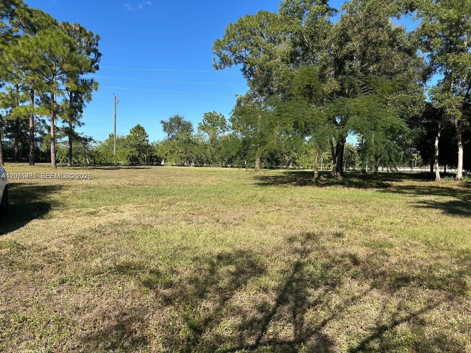 Property photo 19