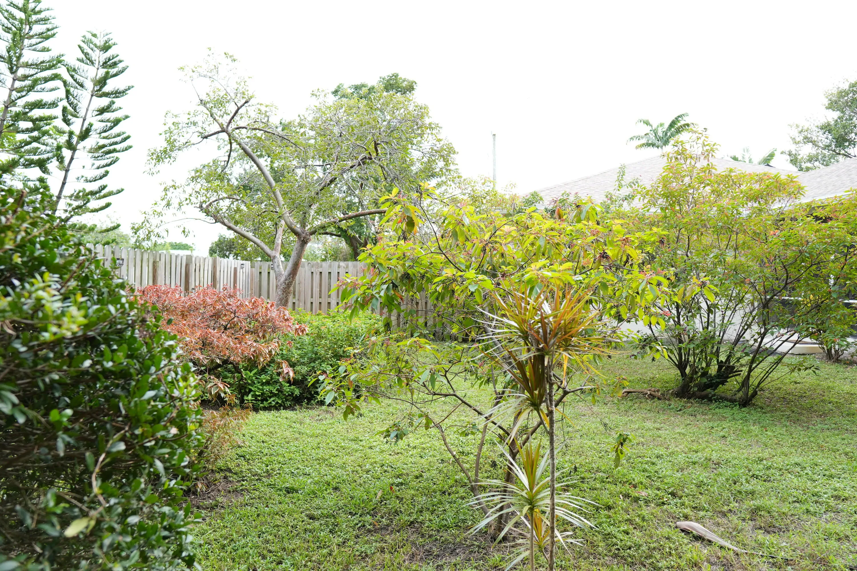 DSC00579