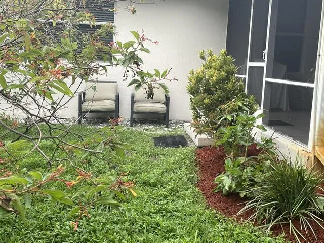 backyard1