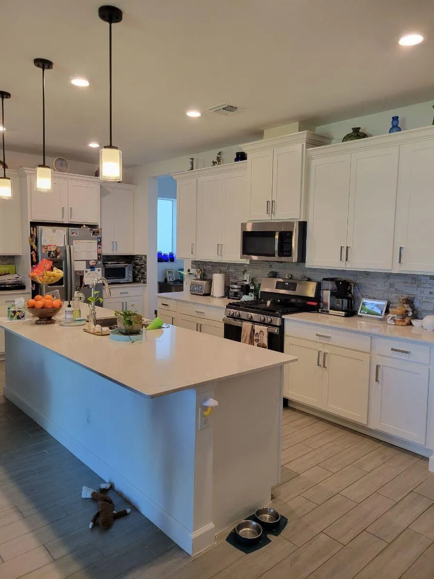 19771 RUGGED TRUNK KITCHEN AND COUNTER