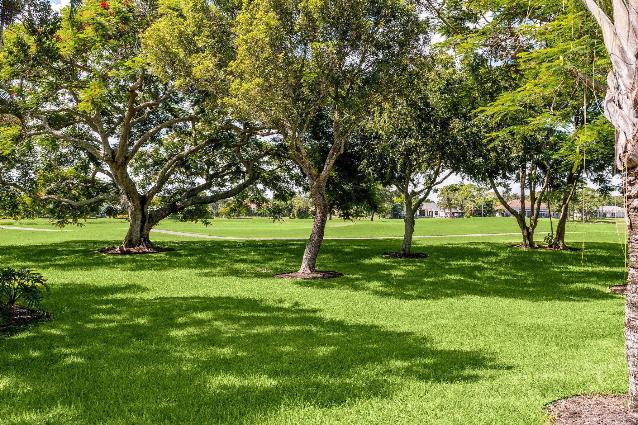 67-web-or-mls-A7405443