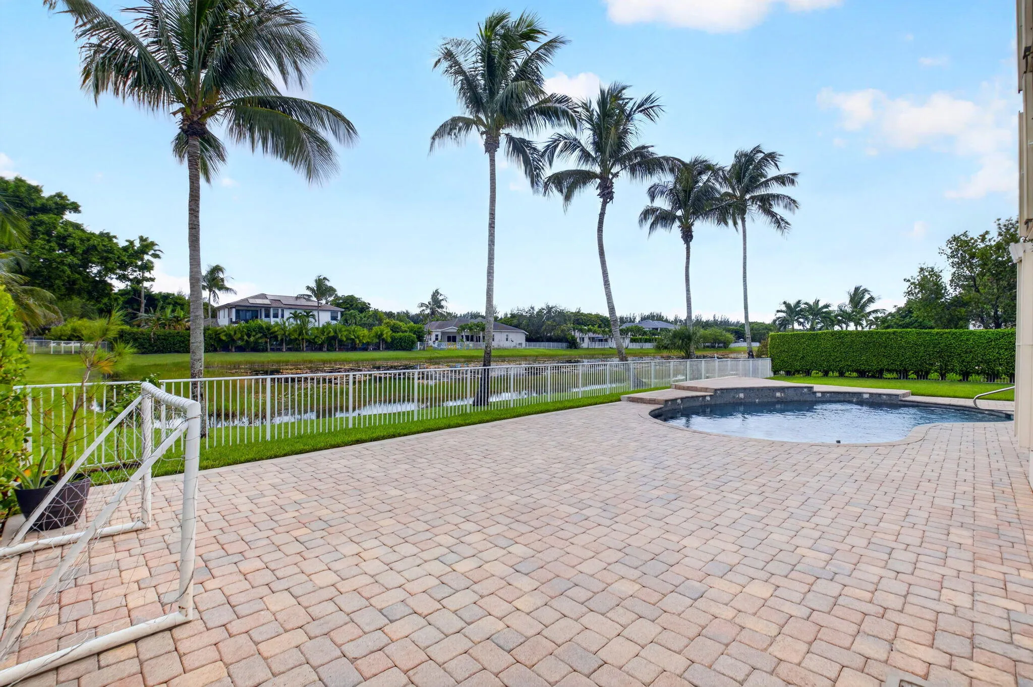 Paved patio with an in-ground swimming pool, surrounded by a metal fence and mature palm trees
