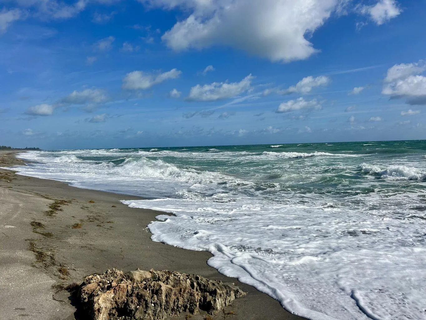 36- 331 Tequesta Dr 216