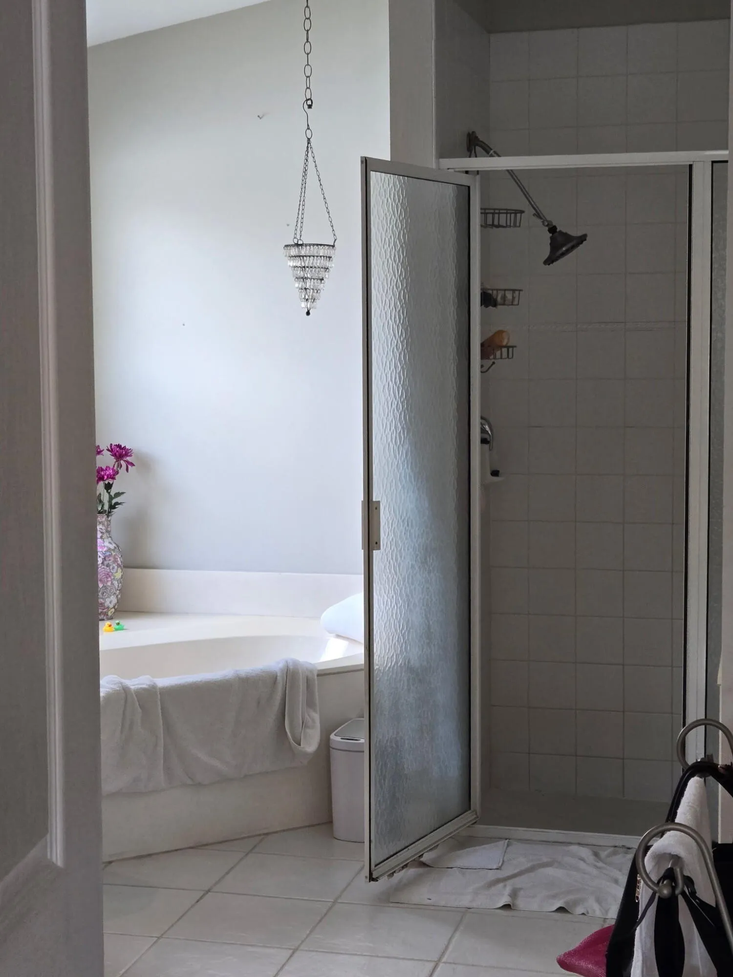 Master Bath Shower