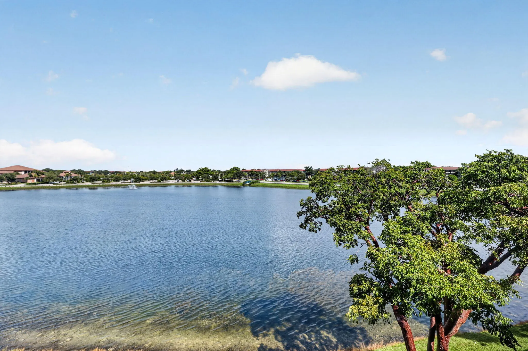 Lake view