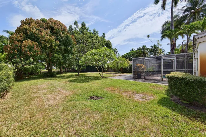 Generous backyard with mature tropical trees and ample space to create a customized outdoor retreat.