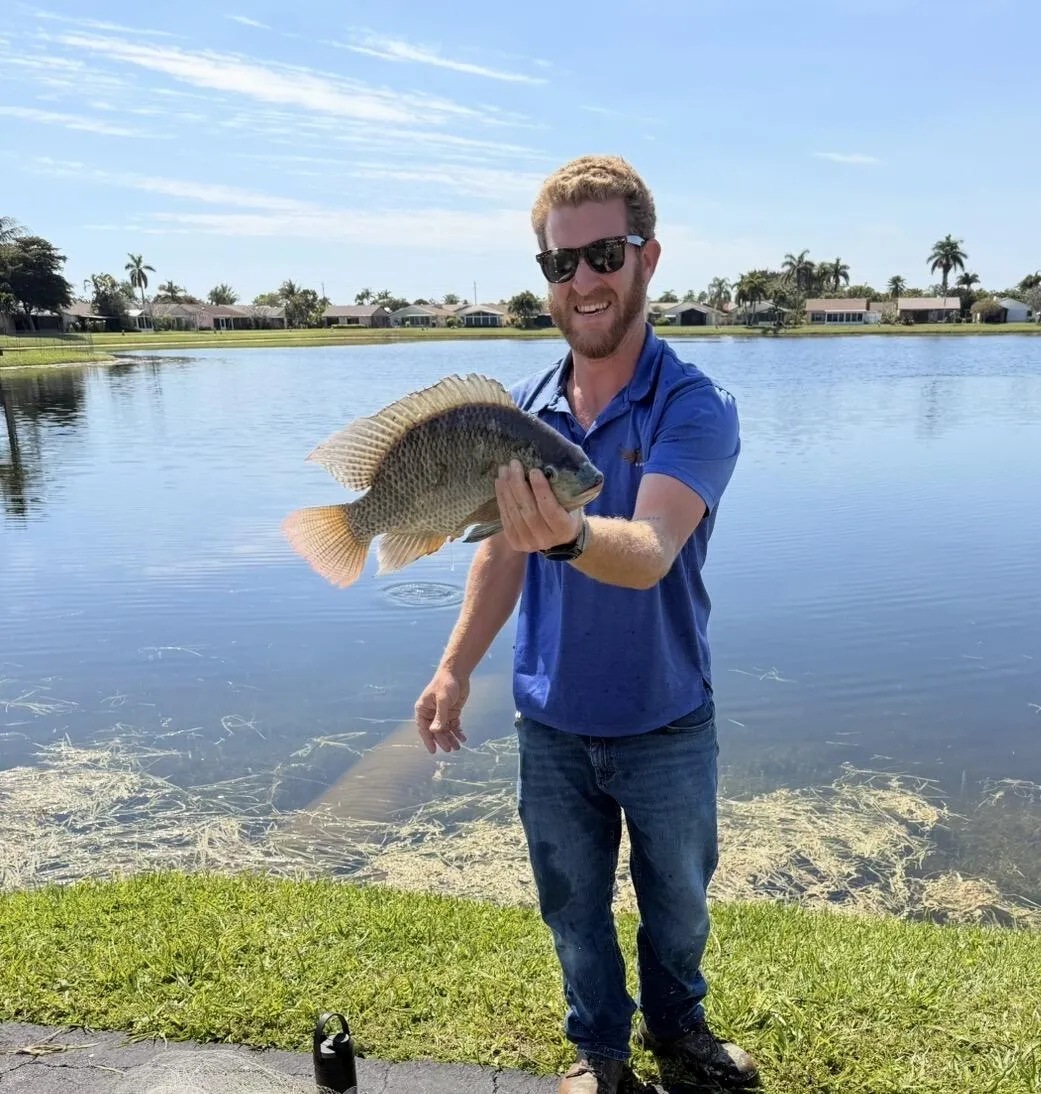 Tilapia