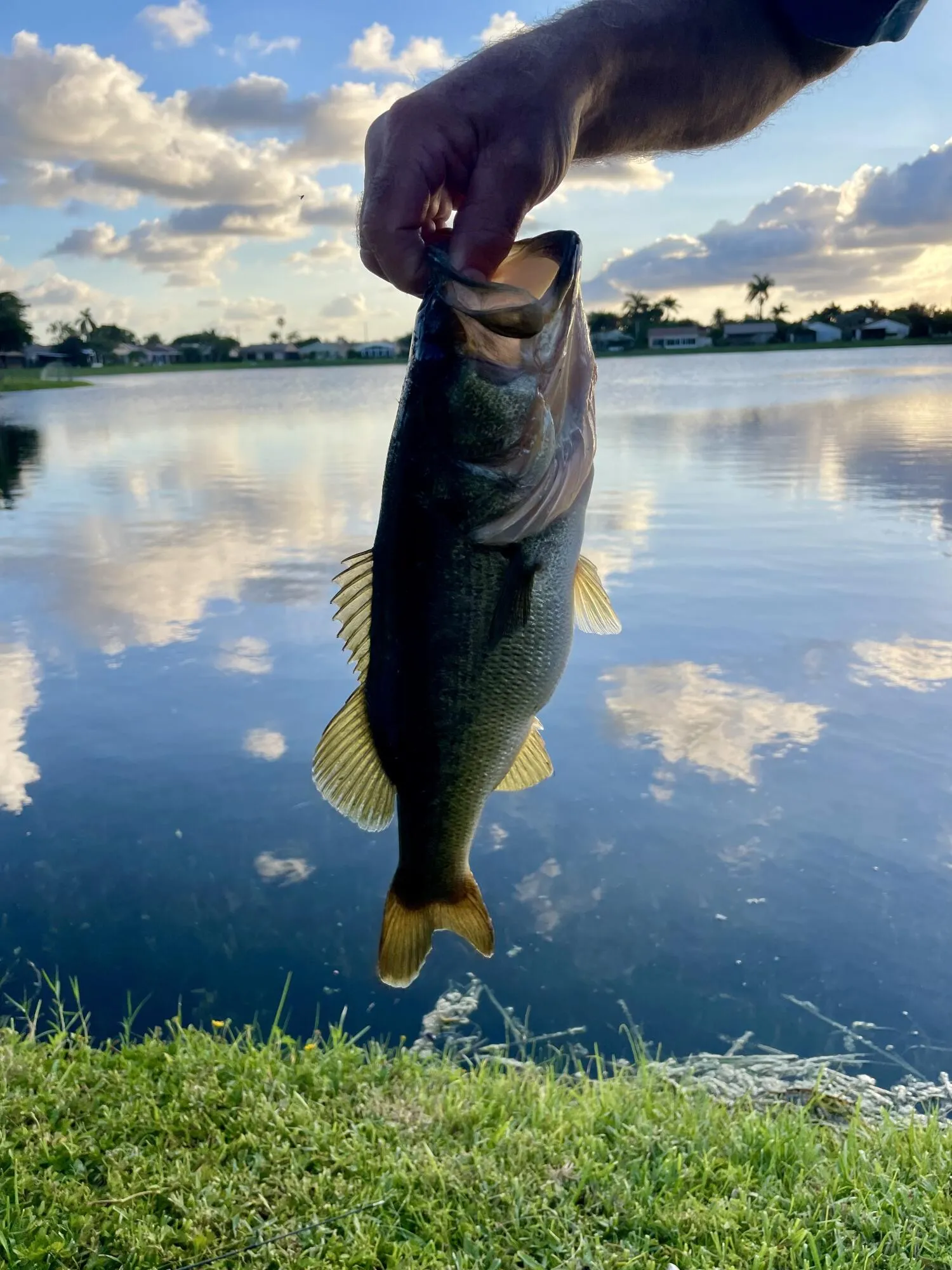 Great bass fishing