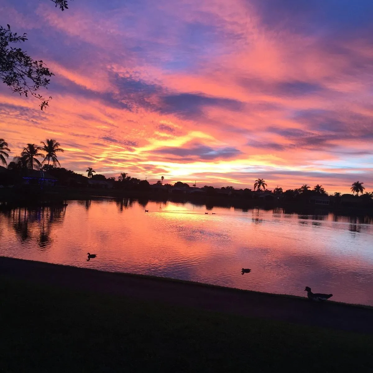 m lakes sunset