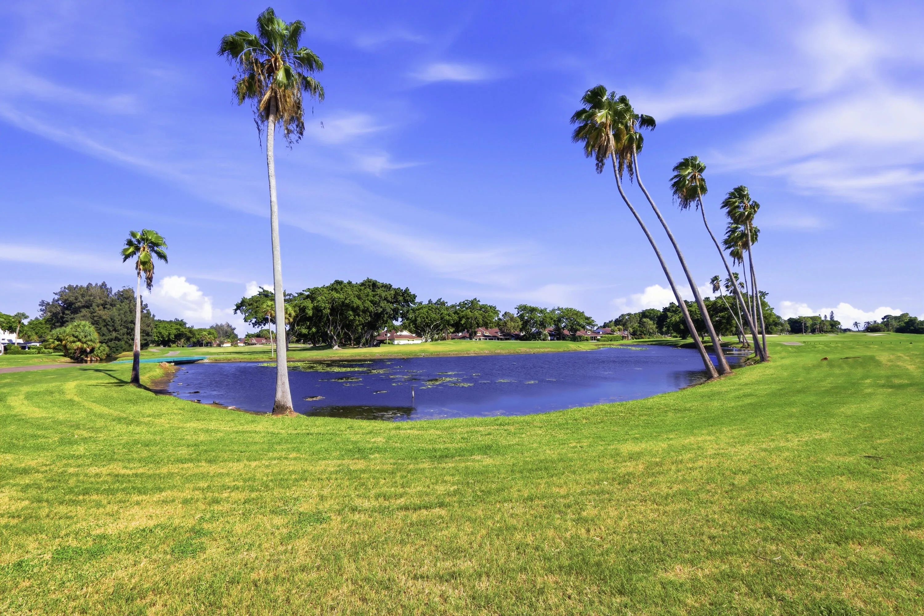 Golf Course View 3