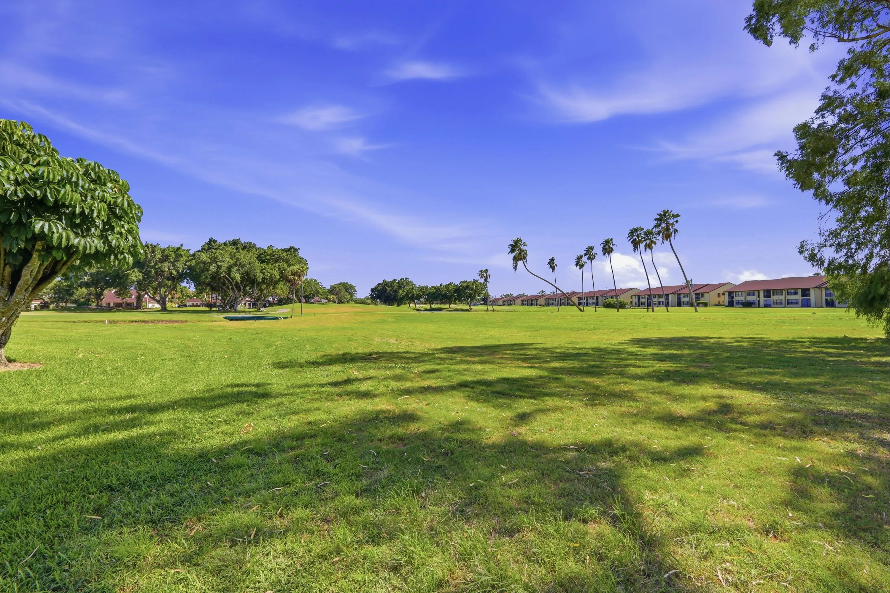 Golf Course View