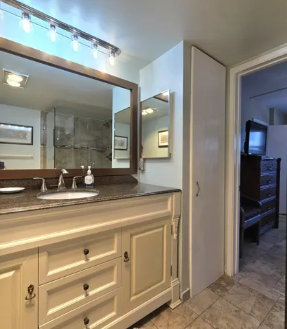 Primary Bathroom Vanity