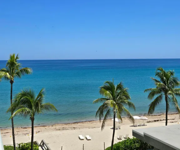 Calm Ocean View