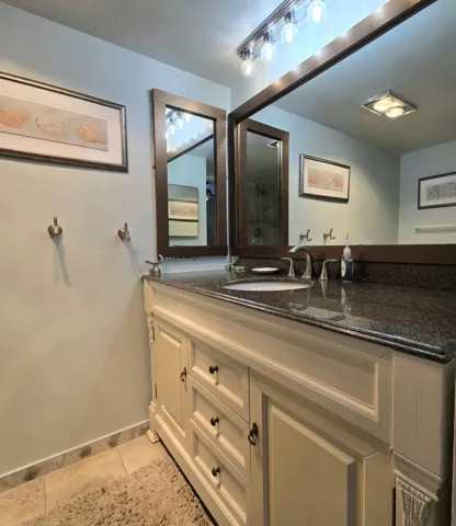 Primary Bathroom Vanity