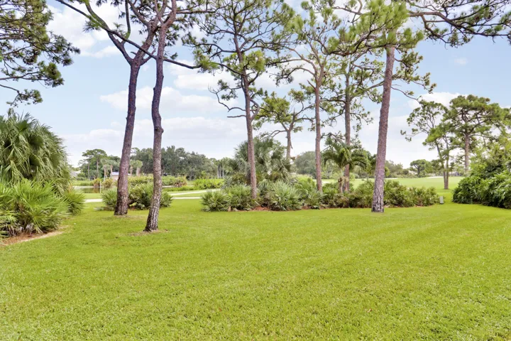 Backyard View