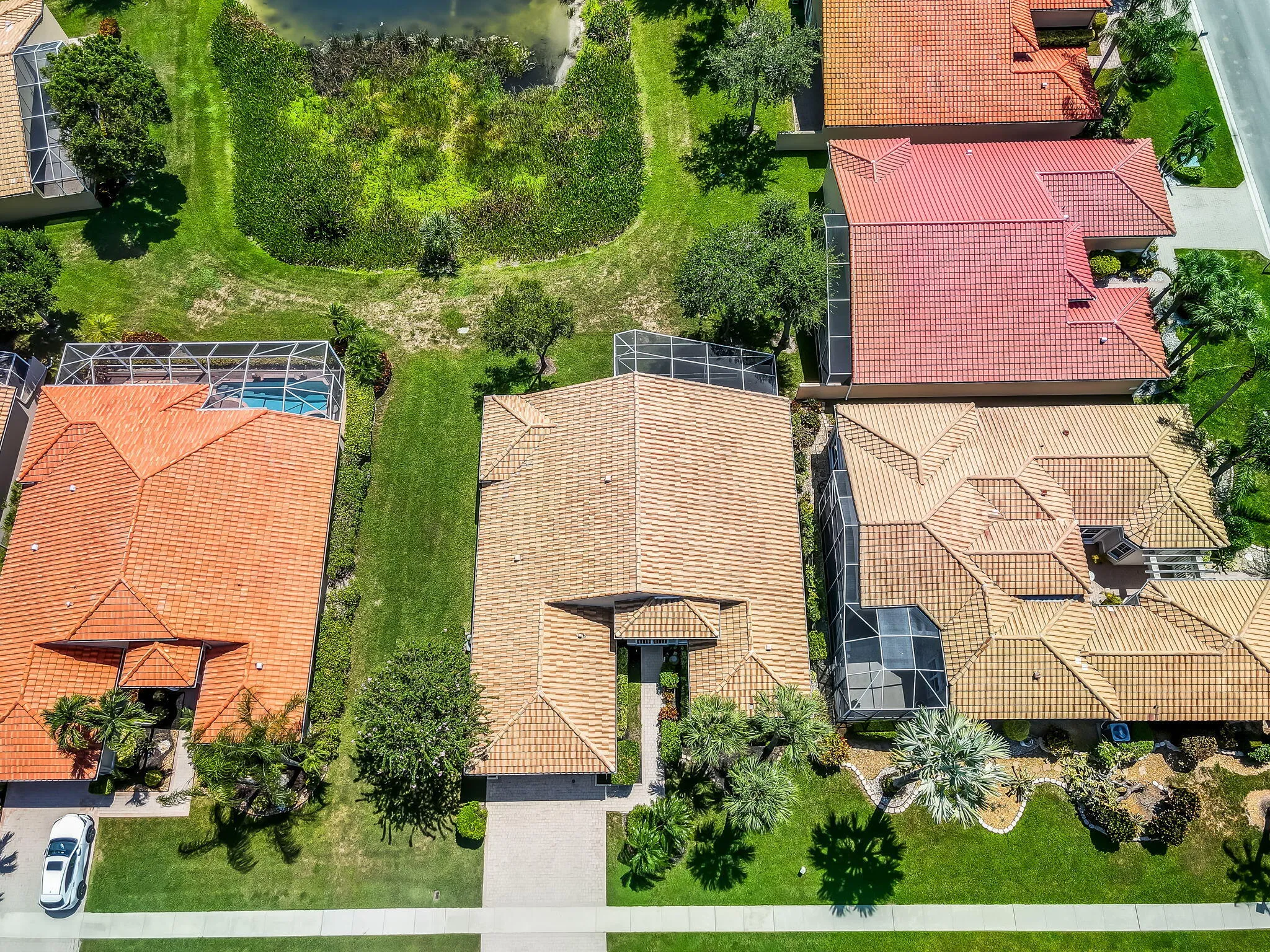 Aerial View of Backyard