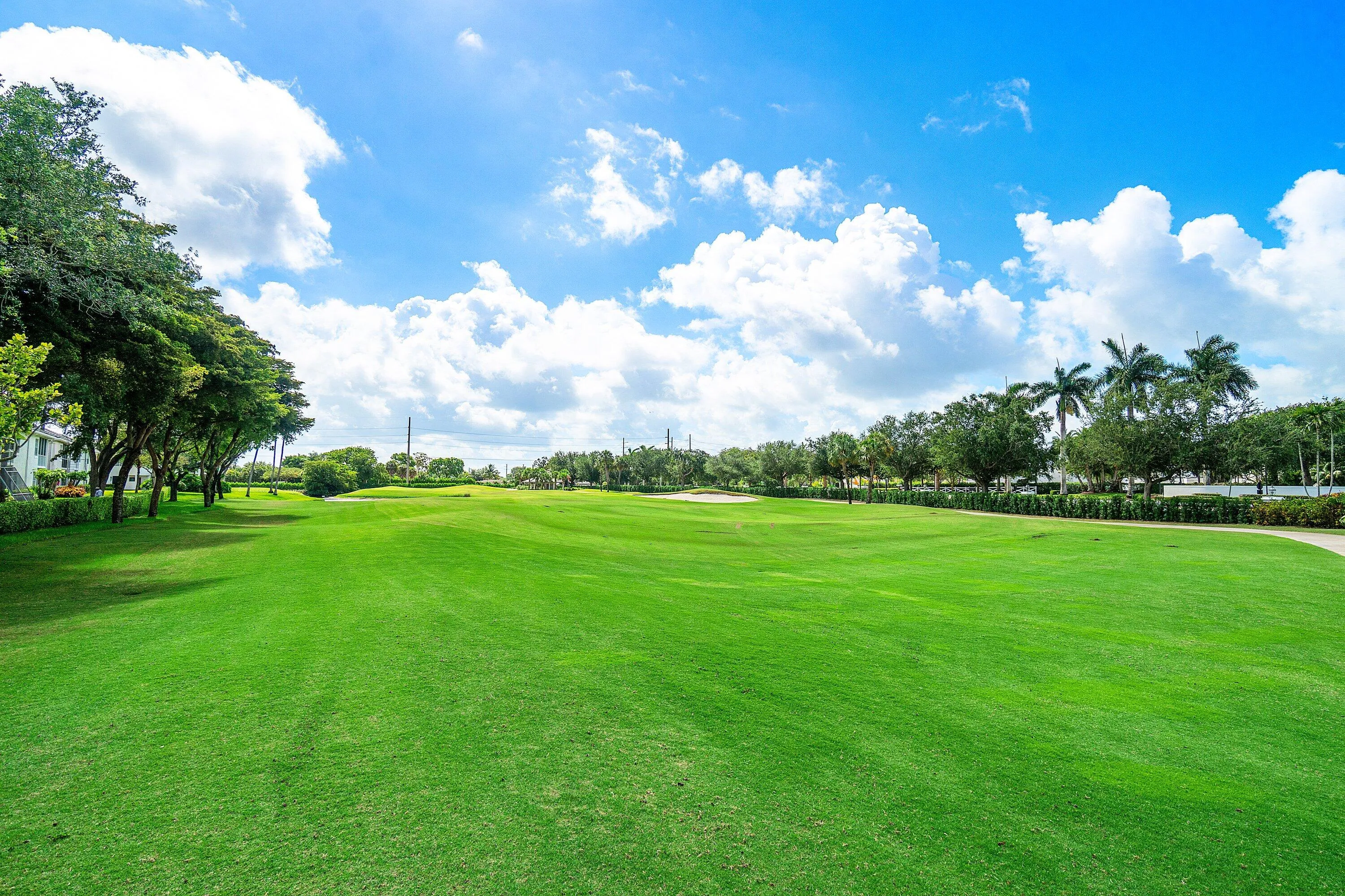 Golf View