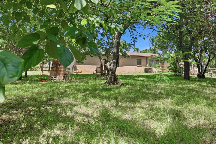 Backyard-C