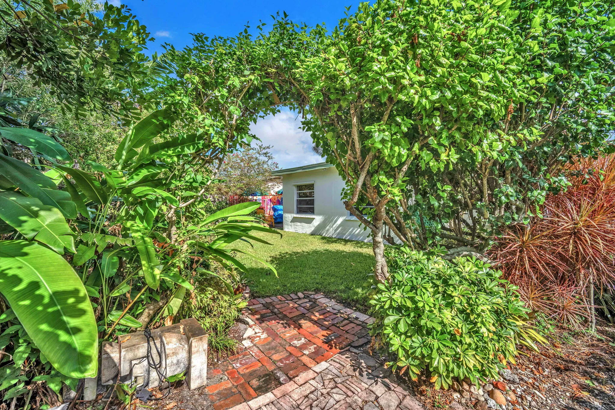 37-web-or-mls-DSC05613