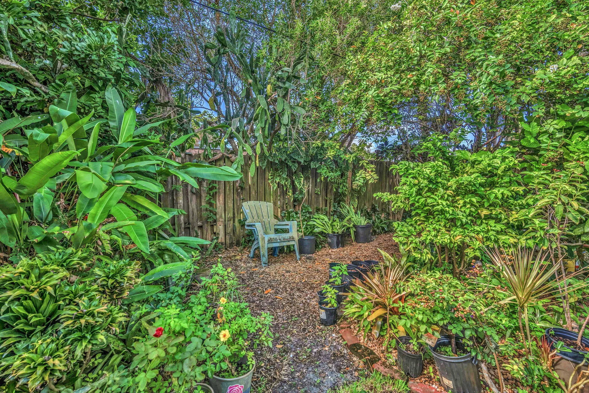 38-web-or-mls-DSC05617